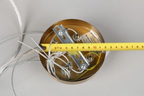 Подвесной светильник Omnilux Cesana OML-67103-08 в Белоярском - beloyarskiy.mebel24.online | фото 9