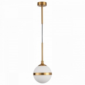 Подвесной светильник ST-Luce Arbe SL1157.303.01 в Белоярском - beloyarskiy.mebel24.online | фото 2