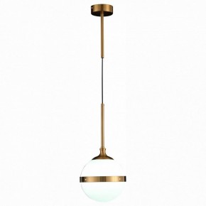 Подвесной светильник ST-Luce Arbe SL1157.303.01 в Белоярском - beloyarskiy.mebel24.online | фото 3