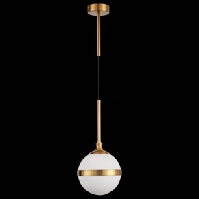Подвесной светильник ST-Luce Arbe SL1157.303.01 в Белоярском - beloyarskiy.mebel24.online | фото 4