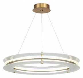 Подвесной светильник ST-Luce FAGY SL6245.203.01 в Белоярском - beloyarskiy.mebel24.online | фото 2