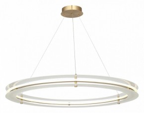 Подвесной светильник ST-Luce FAGY SL6245.213.01 в Белоярском - beloyarskiy.mebel24.online | фото 4