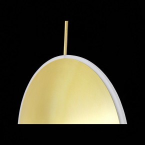 Подвесной светильник ST-Luce Imente SL1221.213.01 в Белоярском - beloyarskiy.mebel24.online | фото 9