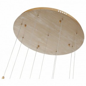 Подвесной светильник ST-Luce SL1116 SL1116.203.09 в Белоярском - beloyarskiy.mebel24.online | фото 4