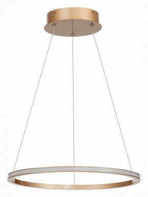 Подвесной светильник ST-Luce ST604 OUT ST604.243.22 в Белоярском - beloyarskiy.mebel24.online | фото 2