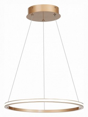 Подвесной светильник ST-Luce ST604 OUT ST604.243.22 в Белоярском - beloyarskiy.mebel24.online | фото 3