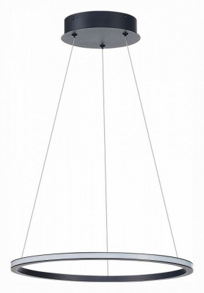 Подвесной светильник ST-Luce ST604 OUT ST604.443.22 в Белоярском - beloyarskiy.mebel24.online | фото 2