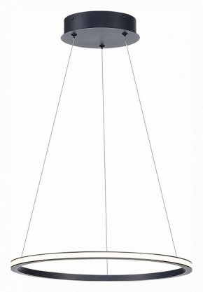 Подвесной светильник ST-Luce ST604 OUT ST604.443.22 в Белоярском - beloyarskiy.mebel24.online | фото 3