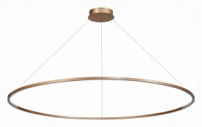 Подвесной светильник ST-Luce ST605 ST605.203.72 в Белоярском - beloyarskiy.mebel24.online | фото 2