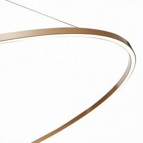 Подвесной светильник ST-Luce ST605 ST605.203.72 в Белоярском - beloyarskiy.mebel24.online | фото 6