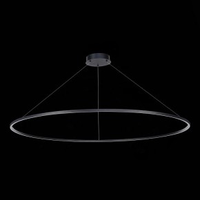 Подвесной светильник ST-Luce ST605 ST605.403.72 в Белоярском - beloyarskiy.mebel24.online | фото 4