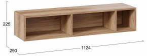 Полка навесная ТД-102.28 в Белоярском - beloyarskiy.mebel24.online | фото 9