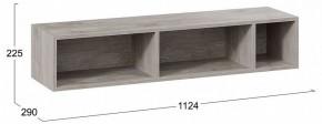 Полка навесная ТД-102.28 в Белоярском - beloyarskiy.mebel24.online | фото 8