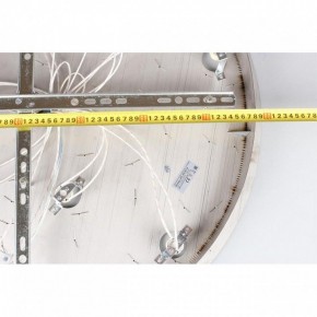 Потолочная люстра Aployt Teresa APL.855.06.10 в Белоярском - beloyarskiy.mebel24.online | фото 16