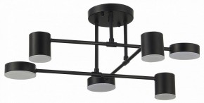 Потолочная люстра EVOLUCE Nobel SLE201042-06 в Белоярском - beloyarskiy.mebel24.online | фото 11