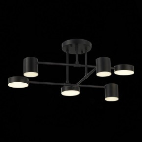 Потолочная люстра EVOLUCE Nobel SLE201042-06 в Белоярском - beloyarskiy.mebel24.online | фото 13
