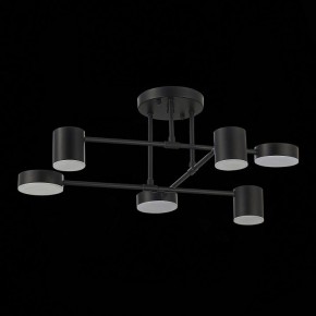 Потолочная люстра EVOLUCE Nobel SLE201042-06 в Белоярском - beloyarskiy.mebel24.online | фото 14