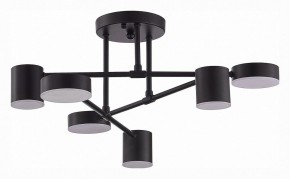 Потолочная люстра EVOLUCE Nobel SLE201042-06 в Белоярском - beloyarskiy.mebel24.online | фото 3