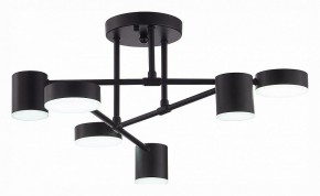 Потолочная люстра EVOLUCE Nobel SLE201042-06 в Белоярском - beloyarskiy.mebel24.online | фото 5