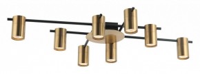 Потолочная люстра Favourite Topper 2827-8P в Белоярском - beloyarskiy.mebel24.online | фото 2