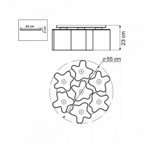 Потолочная люстра Lightstar Nubi 802070 в Белоярском - beloyarskiy.mebel24.online | фото 6
