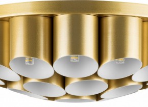 Потолочная люстра Lightstar Siena 720222 в Белоярском - beloyarskiy.mebel24.online | фото 3
