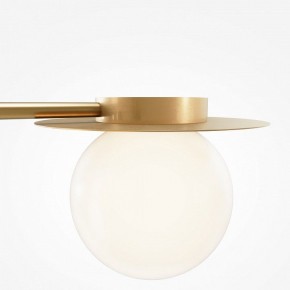 Потолочная люстра Maytoni Star sky MOD291CL-04BS в Белоярском - beloyarskiy.mebel24.online | фото 5