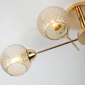 Потолочная люстра Rivoli Amalia Б0050815 в Белоярском - beloyarskiy.mebel24.online | фото 8