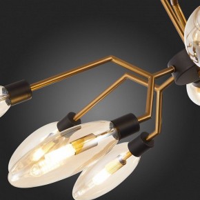 Потолочная люстра ST-Luce Desima SL1174.303.12 в Белоярском - beloyarskiy.mebel24.online | фото 10