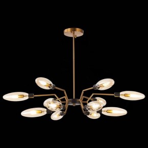 Потолочная люстра ST-Luce Desima SL1174.303.12 в Белоярском - beloyarskiy.mebel24.online | фото 2