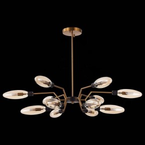 Потолочная люстра ST-Luce Desima SL1174.303.12 в Белоярском - beloyarskiy.mebel24.online | фото 4