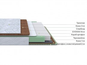 PROxSON Матрас Green Duo M/F (Tricotage Dream) 120x190 в Белоярском - beloyarskiy.mebel24.online | фото 2