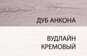 Шкаф 1DZ, OLIVIA, цвет вудлайн крем/дуб анкона в Белоярском - beloyarskiy.mebel24.online | фото 3