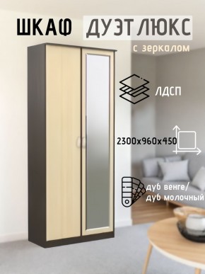 Шкаф 2-х створчатый Дуэт Люкс с зеркалом в Белоярском - beloyarskiy.mebel24.online | фото