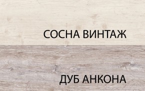 Шкаф 2D1S, MONAKO, цвет Сосна винтаж/дуб анкона в Белоярском - beloyarskiy.mebel24.online | фото