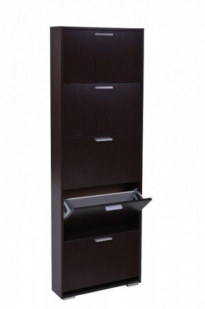 Шкаф для обуви УК-5 10000130 в Белоярском - beloyarskiy.mebel24.online | фото
