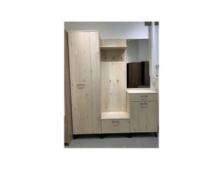 Шкаф для одежды 2-х дверный София 1 в Белоярском - beloyarskiy.mebel24.online | фото 6