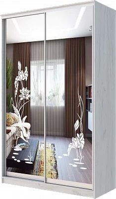 Шкаф-купе ХИТ 24-14-66 ЦАПЛИ в Белоярском - beloyarskiy.mebel24.online | фото