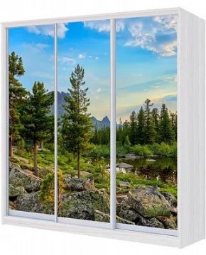 Шкаф-купе ХИТ 24-20-777 ПРИРОДА в Белоярском - beloyarskiy.mebel24.online | фото