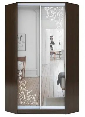 Шкаф-купе ХИТ-У-R-22-64-66 ОРНАМЕНТ в Белоярском - beloyarskiy.mebel24.online | фото