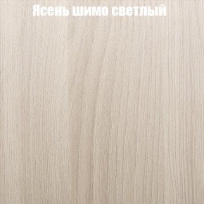 Шкаф-купе «ТАНДЕМ» 2-х дверный в алюминиевом профиле (Дверь К+К) 1600/h2200 в Белоярском - beloyarskiy.mebel24.online | фото 6
