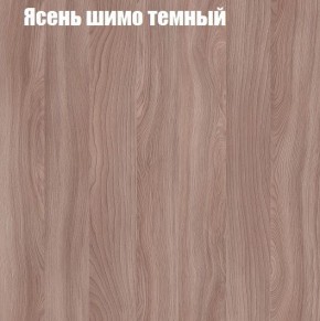 Шкаф-купе «ТАНДЕМ» 2-х дверный в алюминиевом профиле (Дверь К+К) 1600/h2200 в Белоярском - beloyarskiy.mebel24.online | фото 7