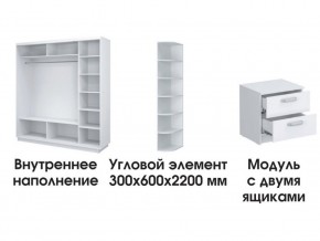 Шкаф-купе «ТАНДЕМ» 3-х дверный в белом профиле (Дверь ЛДСП+ЛДСП+Z) 2100/h2200 в Белоярском - beloyarskiy.mebel24.online | фото 3