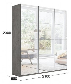 Шкаф-купе Траст СШК 2.210.70-13.13.13 в Белоярском - beloyarskiy.mebel24.online | фото 3