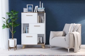 Шкаф низкий с нишами Вега Скандинавия в Белоярском - beloyarskiy.mebel24.online | фото 4