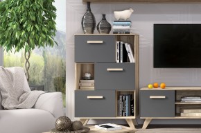 Шкаф низкий с нишами Вега Скандинавия в Белоярском - beloyarskiy.mebel24.online | фото 6