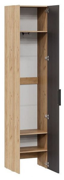 Шкаф платяной Асти в Белоярском - beloyarskiy.mebel24.online | фото 2