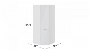 Шкаф платяной Глосс СМ-319.07.311 в Белоярском - beloyarskiy.mebel24.online | фото 3