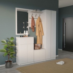 Шкаф платяной ШО-4 в Белоярском - beloyarskiy.mebel24.online | фото 6