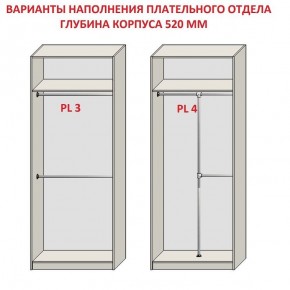 Шкаф распашной серия «ЗЕВС» (PL3/С1/PL2) в Белоярском - beloyarskiy.mebel24.online | фото 10